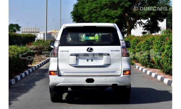 Buy Import Lexus GX White Car in Import - Dubai in Andijon Buy Import Lexus GX White Car in Import - Dubai in Andijon