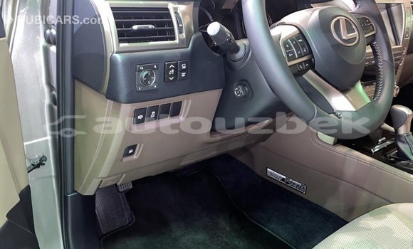 Buy Import Lexus GX Other Car in Import - Dubai in Andijon Buy Import Lexus GX Other Car in Import - Dubai in Andijon