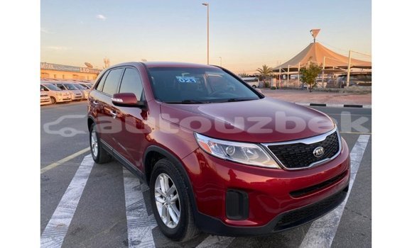 Buy Import Kia Sorento Red Car in Import - Dubai in Andijon Buy Import Kia Sorento Red Car in Import - Dubai in Andijon