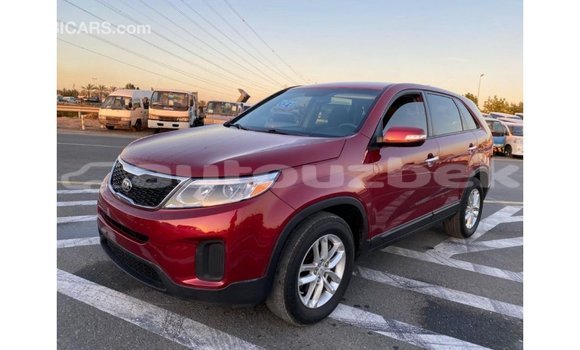 Buy Import Kia Sorento Red Car in Import - Dubai in Andijon Buy Import Kia Sorento Red Car in Import - Dubai in Andijon