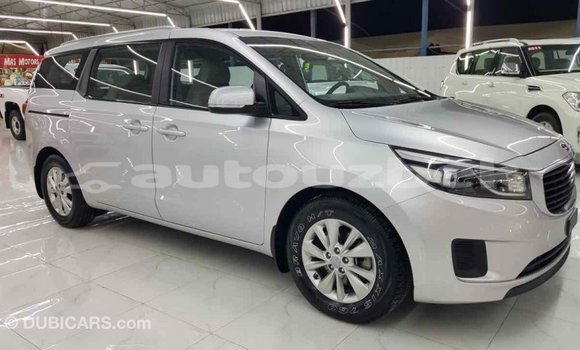 Buy Import Kia Carnival Other Car in Import - Dubai in Andijon Buy Import Kia Carnival Other Car in Import - Dubai in Andijon
