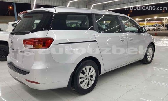Buy Import Kia Carnival Other Car in Import - Dubai in Andijon Buy Import Kia Carnival Other Car in Import - Dubai in Andijon