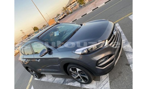 Buy Import Hyundai Tucson Other Car in Import - Dubai in Andijon Buy Import Hyundai Tucson Other Car in Import - Dubai in Andijon