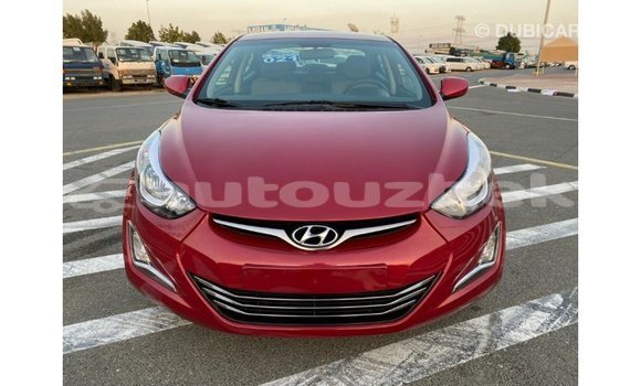 Buy Import Hyundai Elantra Red Car in Import - Dubai in Andijon Buy Import Hyundai Elantra Red Car in Import - Dubai in Andijon