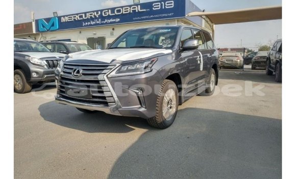 Buy Import Lexus LX Other Car in Import - Dubai in Andijon Buy Import Lexus LX Other Car in Import - Dubai in Andijon
