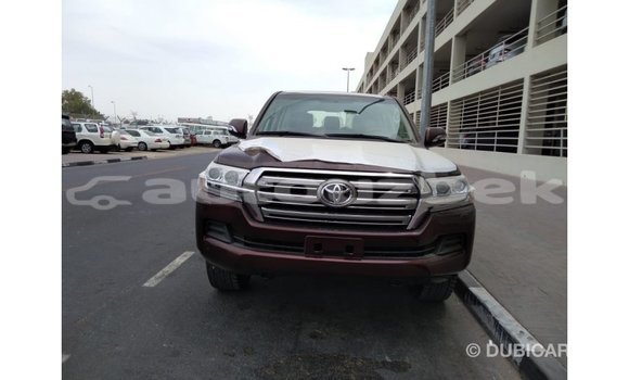 Buy Import Toyota Land Cruiser Brown Car in Import - Dubai in Andijon Buy Import Toyota Land Cruiser Brown Car in Import - Dubai in Andijon