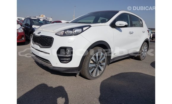 Buy Import Kia Sportage White Car in Import - Dubai in Andijon Buy Import Kia Sportage White Car in Import - Dubai in Andijon