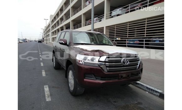 Buy Import Toyota Land Cruiser Brown Car in Import - Dubai in Andijon Buy Import Toyota Land Cruiser Brown Car in Import - Dubai in Andijon