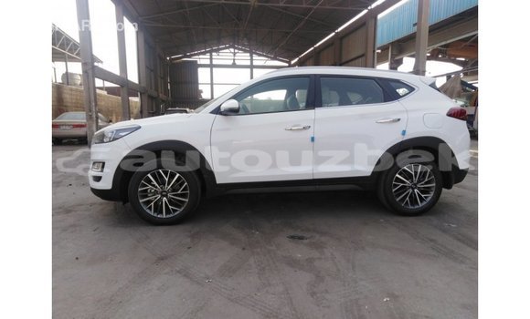 Buy Import Hyundai Tucson White Car in Import - Dubai in Andijon Buy Import Hyundai Tucson White Car in Import - Dubai in Andijon