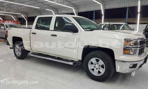 Buy Import Chevrolet Silverado White Car in Import - Dubai in Andijon Buy Import Chevrolet Silverado White Car in Import - Dubai in Andijon