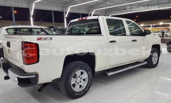 Buy Import Chevrolet Silverado White Car in Import - Dubai in Andijon Buy Import Chevrolet Silverado White Car in Import - Dubai in Andijon