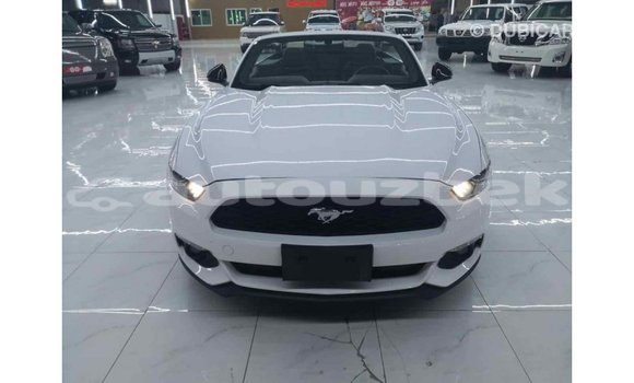 Buy Import Ford Mustang White Car in Import - Dubai in Andijon Buy Import Ford Mustang White Car in Import - Dubai in Andijon