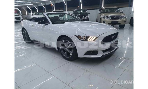 Buy Import Ford Mustang White Car in Import - Dubai in Andijon Buy Import Ford Mustang White Car in Import - Dubai in Andijon