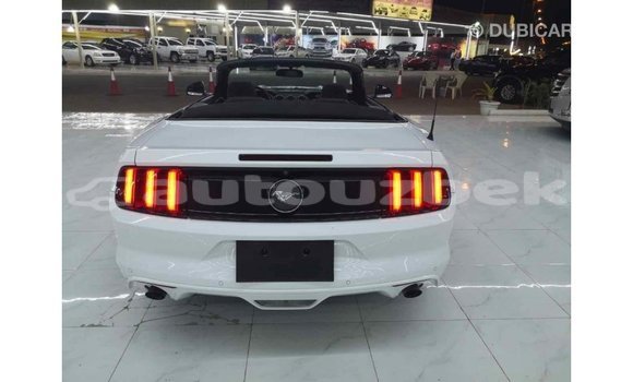 Buy Import Ford Mustang White Car in Import - Dubai in Andijon Buy Import Ford Mustang White Car in Import - Dubai in Andijon