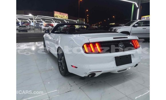 Buy Import Ford Mustang White Car in Import - Dubai in Andijon Buy Import Ford Mustang White Car in Import - Dubai in Andijon
