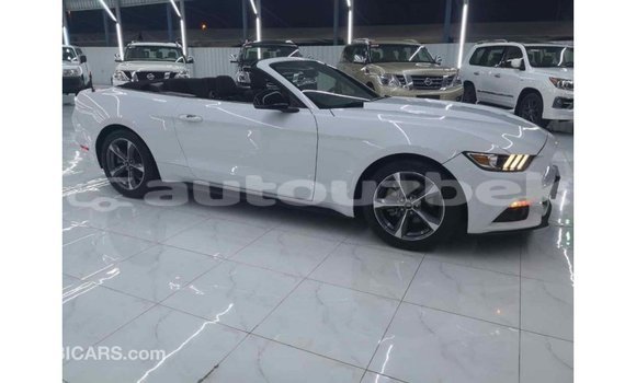 Buy Import Ford Mustang White Car in Import - Dubai in Andijon Buy Import Ford Mustang White Car in Import - Dubai in Andijon