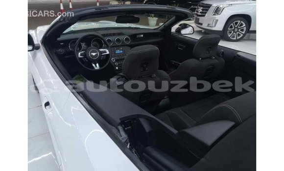 Buy Import Ford Mustang White Car in Import - Dubai in Andijon Buy Import Ford Mustang White Car in Import - Dubai in Andijon