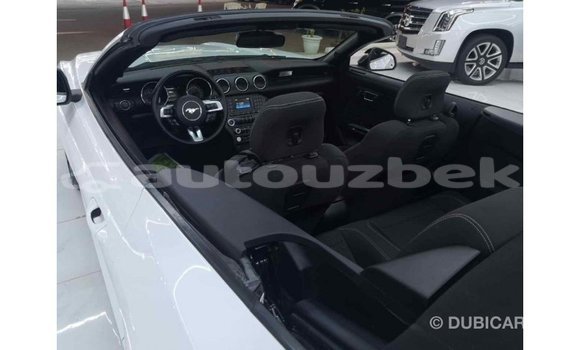 Buy Import Ford Mustang White Car in Import - Dubai in Andijon Buy Import Ford Mustang White Car in Import - Dubai in Andijon