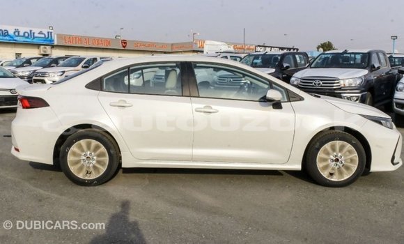 Buy Import Toyota Corolla White Car in Import - Dubai in Andijon Buy Import Toyota Corolla White Car in Import - Dubai in Andijon