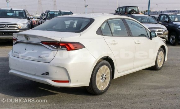 Buy Import Toyota Corolla White Car in Import - Dubai in Andijon Buy Import Toyota Corolla White Car in Import - Dubai in Andijon