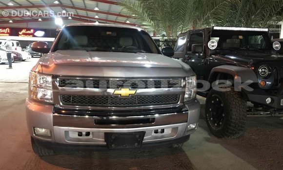Buy Import Chevrolet Silverado Other Car in Import - Dubai in Andijon Buy Import Chevrolet Silverado Other Car in Import - Dubai in Andijon