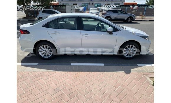 Buy Import Toyota Corolla White Car in Import - Dubai in Andijon Buy Import Toyota Corolla White Car in Import - Dubai in Andijon