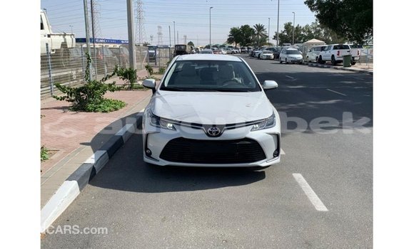 Buy Import Toyota Corolla White Car in Import - Dubai in Andijon Buy Import Toyota Corolla White Car in Import - Dubai in Andijon