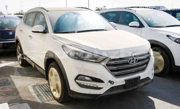 Buy Import Hyundai Tucson White Car in Import - Dubai in Andijon Buy Import Hyundai Tucson White Car in Import - Dubai in Andijon