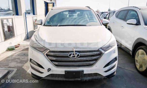Buy Import Hyundai Tucson White Car in Import - Dubai in Andijon Buy Import Hyundai Tucson White Car in Import - Dubai in Andijon