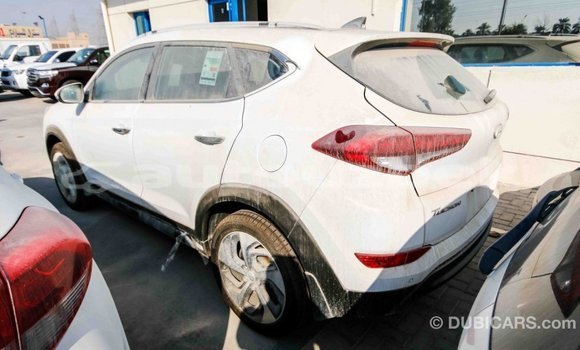Buy Import Hyundai Tucson White Car in Import - Dubai in Andijon Buy Import Hyundai Tucson White Car in Import - Dubai in Andijon