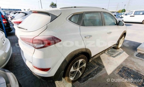 Buy Import Hyundai Tucson White Car in Import - Dubai in Andijon Buy Import Hyundai Tucson White Car in Import - Dubai in Andijon