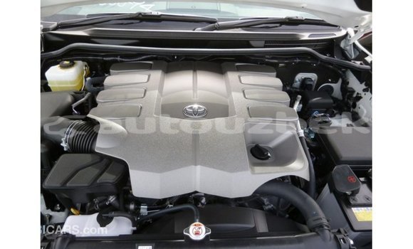 Buy Import Toyota Land Cruiser White Car in Import - Dubai in Andijon Buy Import Toyota Land Cruiser White Car in Import - Dubai in Andijon