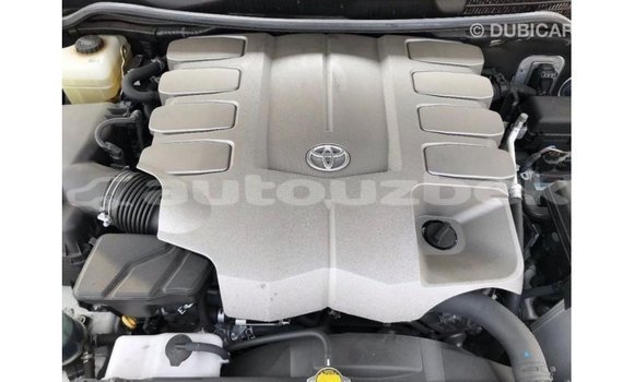 Buy Import Toyota Land Cruiser White Car in Import - Dubai in Andijon Buy Import Toyota Land Cruiser White Car in Import - Dubai in Andijon