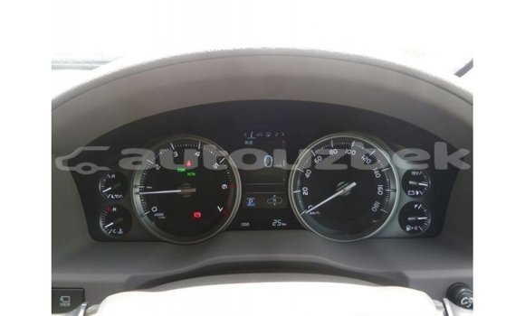 Buy Import Toyota Land Cruiser Black Car in Import - Dubai in Andijon Buy Import Toyota Land Cruiser Black Car in Import - Dubai in Andijon