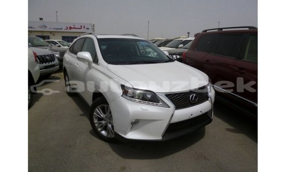 Buy Import Lexus RX 350 White Car in Import - Dubai in Andijon Buy Import Lexus RX 350 White Car in Import - Dubai in Andijon