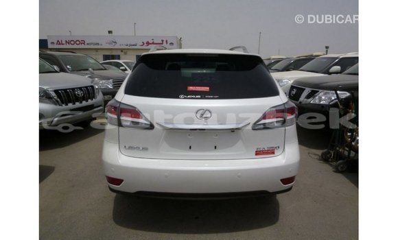 Buy Import Lexus RX 350 White Car in Import - Dubai in Andijon Buy Import Lexus RX 350 White Car in Import - Dubai in Andijon