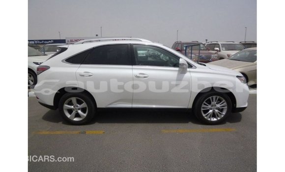 Buy Import Lexus RX 350 White Car in Import - Dubai in Andijon Buy Import Lexus RX 350 White Car in Import - Dubai in Andijon
