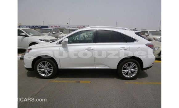 Buy Import Lexus RX 350 White Car in Import - Dubai in Andijon Buy Import Lexus RX 350 White Car in Import - Dubai in Andijon