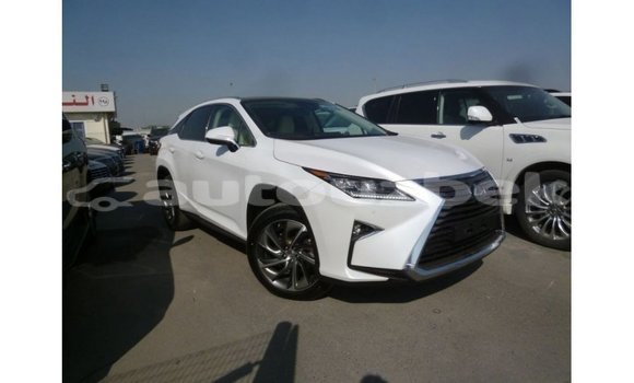 Buy Import Lexus RX 350 White Car in Import - Dubai in Andijon Buy Import Lexus RX 350 White Car in Import - Dubai in Andijon