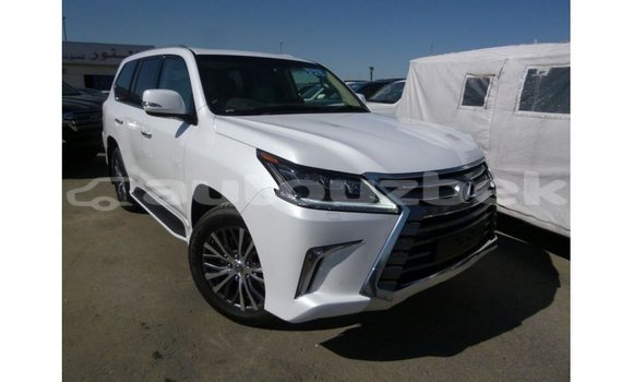 Buy Import Lexus LX White Car in Import - Dubai in Andijon Buy Import Lexus LX White Car in Import - Dubai in Andijon