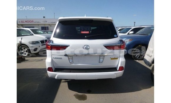Buy Import Lexus LX White Car in Import - Dubai in Andijon Buy Import Lexus LX White Car in Import - Dubai in Andijon