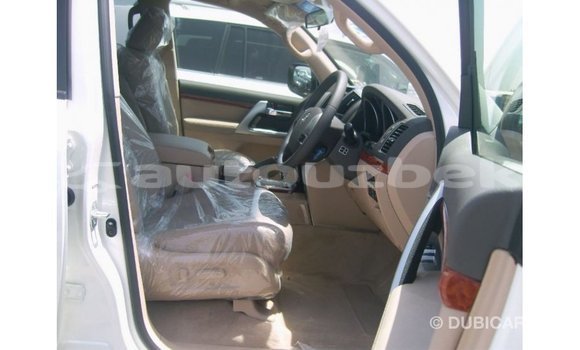Buy Import Toyota Land Cruiser White Car in Import - Dubai in Andijon Buy Import Toyota Land Cruiser White Car in Import - Dubai in Andijon