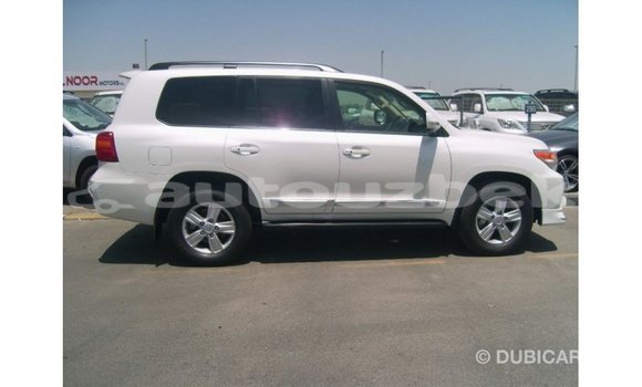 Buy Import Toyota Land Cruiser White Car in Import - Dubai in Andijon Buy Import Toyota Land Cruiser White Car in Import - Dubai in Andijon