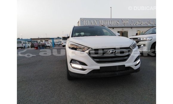 Buy Import Hyundai Tucson White Car in Import - Dubai in Andijon Buy Import Hyundai Tucson White Car in Import - Dubai in Andijon