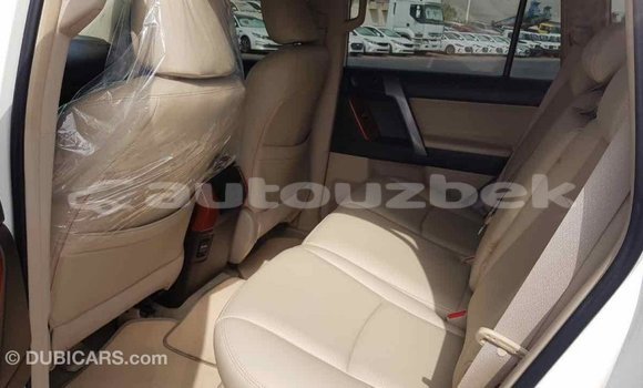Buy Import Toyota Prado White Car in Import - Dubai in Andijon Buy Import Toyota Prado White Car in Import - Dubai in Andijon
