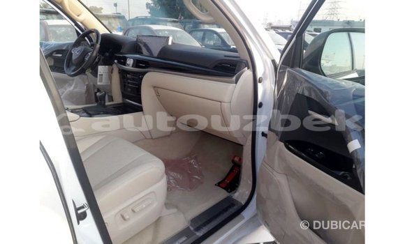 Buy Import Lexus LX White Car in Import - Dubai in Andijon Buy Import Lexus LX White Car in Import - Dubai in Andijon