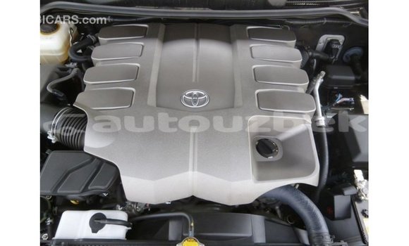 Buy Import Toyota Land Cruiser Black Car in Import - Dubai in Andijon Buy Import Toyota Land Cruiser Black Car in Import - Dubai in Andijon
