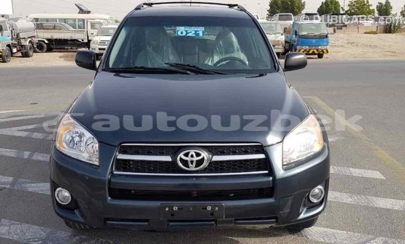 Buy Import Toyota RAV4 Green Car in Import - Dubai in Andijon Buy Import Toyota RAV4 Green Car in Import - Dubai in Andijon