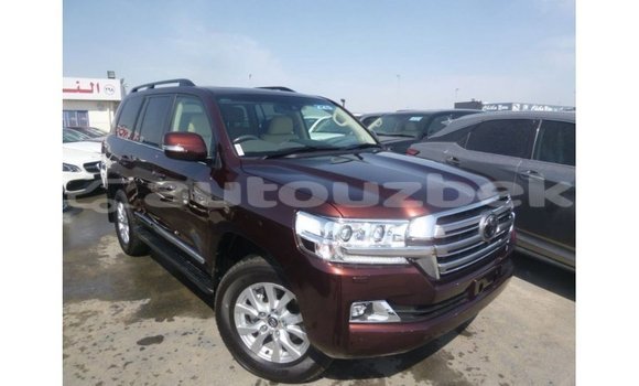 Buy Import Toyota Land Cruiser Brown Car in Import - Dubai in Andijon Buy Import Toyota Land Cruiser Brown Car in Import - Dubai in Andijon