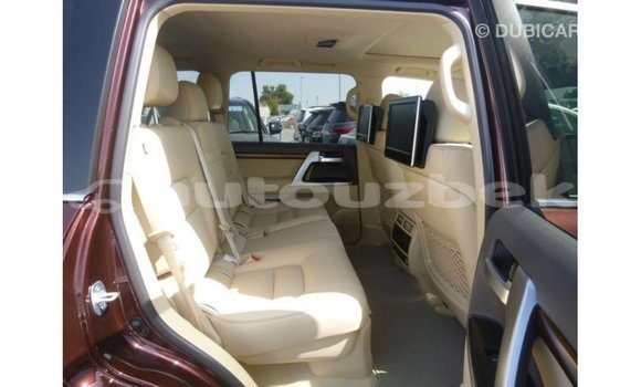 Buy Import Toyota Land Cruiser Brown Car in Import - Dubai in Andijon Buy Import Toyota Land Cruiser Brown Car in Import - Dubai in Andijon